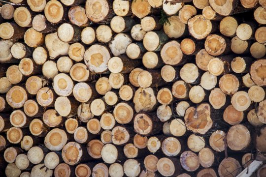 Latvijos miško pramonės produkcijos eksportas išaugo 16 proc., importas – 20 proc.