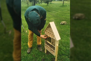 Vilniuje atsidarė net vienuolika vabzdžių viešbučių