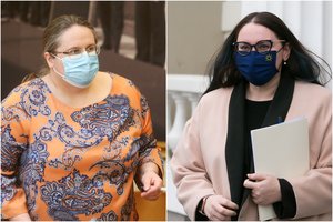 Komiteto posėdyje – A. Širinskienės ir E. Dobrovolskos kivirčas: „Jūs ne vaikų darželyje esate“