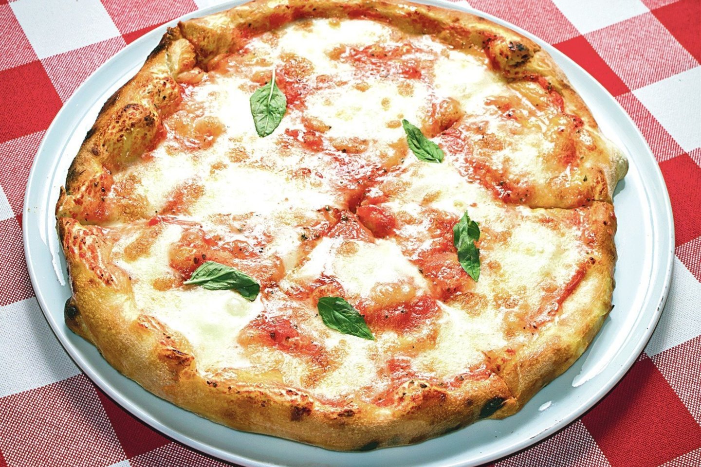 Pica.<br>123rf nuotr.