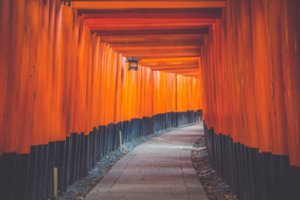 Siūlys steigti kultūros atašė pareigybę Japonijoje ir atsisakyti Kaliningrade bei Maskvoje