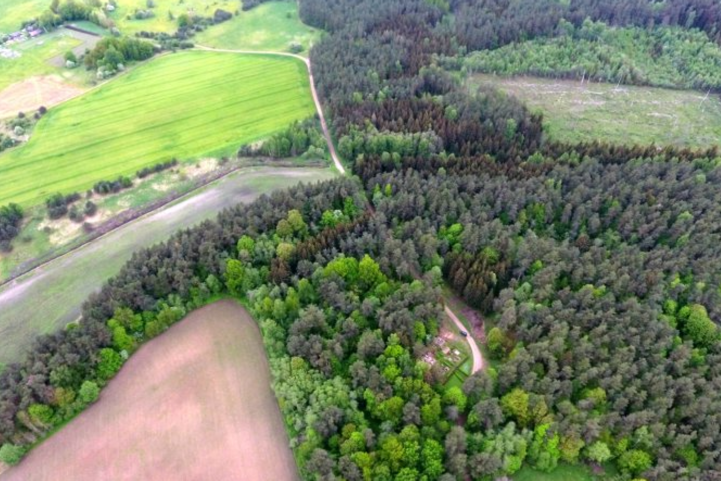 Nei iš viršaus, nei nuo kelio Bryzgių piliakalnio pamatyti nepavyks, jį slepia miškas.<br>A.Švelnos nuotr.