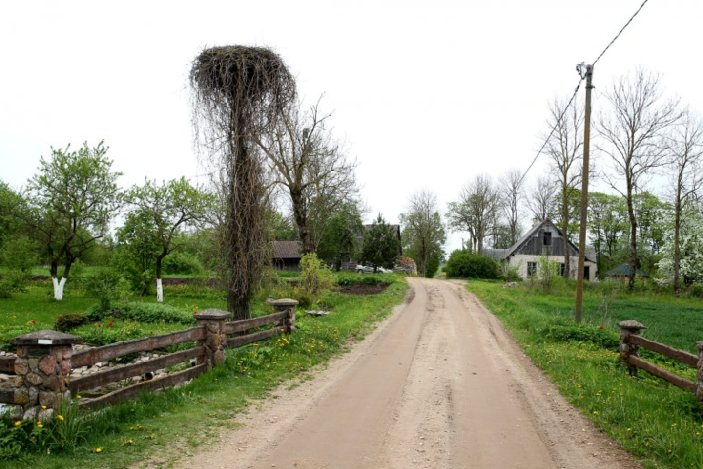 Bryzgių kaime tėra viena gatvė, o gyvenamų namų – ant pirštų suskaičiuot.<br>A.Švelnos nuotr.