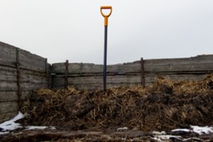 Nesilaikant tręšimo mėšlu reikalavimų galima ne tik susilaukti baudų, bet ir padaryti realią žalą aplinkai