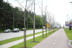 Nemokšų darbų sąrašas ilgėja: dėl nudžiūvusių želdinių Vilniuje skundai pasipylė iš viso miesto 