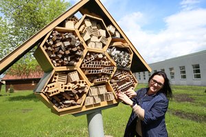 Būsimieji baldžiai užsimojo saugoti vabzdžių įvairovę – tokių vietų Kaune yra vos kelios