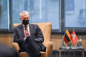 Įvertino G. Nausėdos šansus antrąkart tapti Lietuvos vadovu, įsiminusius pažadus ir vieną ryškiai matomą savybę