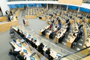 Seimo Audito komitetas siūlo tobulinti atnaujintą valstybės biudžeto projektą