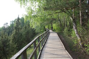 Uždaromi du populiarūs pažintiniai takai Lietuvoje