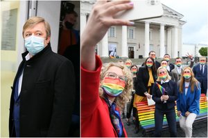 Žinią dėl Partnerystės įstatymo ateities pasiuntęs R. Karbauskis Laisvės partijai mato tik 2 kelius