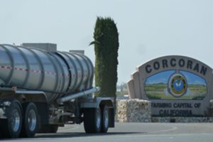 Kalifornijos žemdirbystės sostinė vos per 14 metų nugrimzdo net iki 3,3 metro – kas ten dedasi?