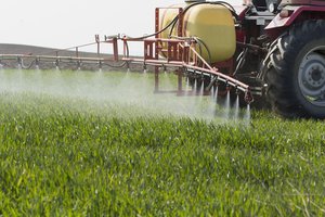 Ką svarbu žinoti naudojantiems augalų apsaugos produktus