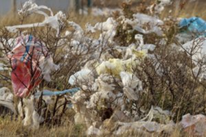 Stambus prekybos tinklas atsisako plastikinių maišų: prekes pristatinės popieriniuose paketuose