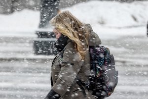 Birželį gali iškristi ir sniegas: priminė istorinę vasaros pradžią