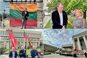 Prie Seimo apie šimtas žmonių reikalavo ginti tradicines vertybes: pasirodė ir N. Puteikis, ir K. Krivickas