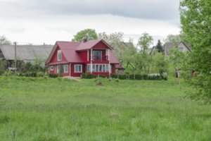 Namo kieme ant naujo vyro automobilio dunksi gilės – prašo nupjauti seną ąžuolą, bet specialistas siūlo kitą sprendimą