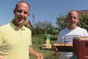 Nors ir vėlyvas medunešis, bitininkai neabejoja – jo gausa bus išskirtinė