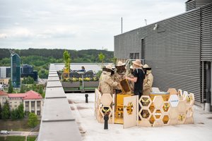 Bičių avilius įkurdino aukščiausiai Lietuvoje – ant dviejų verslo centrų stogų: sulaukė ir EK narių dėmesio