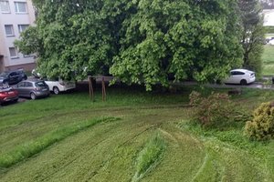 Vilnietę vaizdas pro langą supykdė: įmonei teko atsiprašinėti už tokį traktoristų darbą