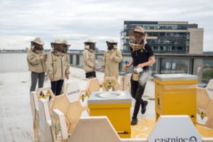 Bičių avilius ant savo pastato stogo įsikuria vis daugiau Lietuvos įmonių