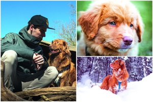 Retos veislės Dovydo augintinė tapo žvaigžde: moka ne tik pozuoti, bet ir tinkamai elgtis bare