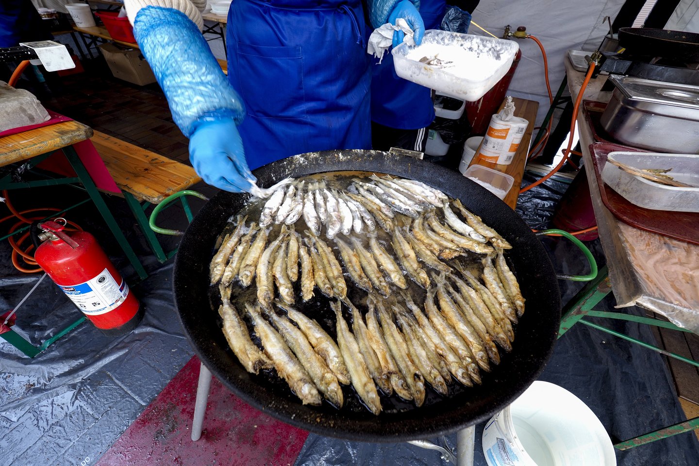 Stintos iš šalies atrodo kaip masalas žuvims, tačiau jų skonis paruošus šias žuvis – ypatingas.<br>V.Ščiavinsko nuotr.