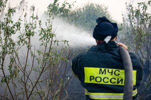 Rusijos politikui skirta bauda už iškylą gamtoje, surengtą per miškų gaisrų sezoną