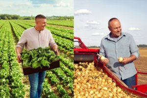 Lietuvos ūkininkai: tarptautiniai sertifikatai palengvina kelią į šalies ir užsienio rinkas