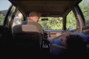 Gera žinia kino po atviru dangumi gerbėjams – grįžta vasaros festivalis „Sidabrinės gervės naktys“