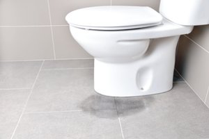 Trumpa tualetų istorija: nuo šumerų laikų iki tupyklos Lietuvos kaime