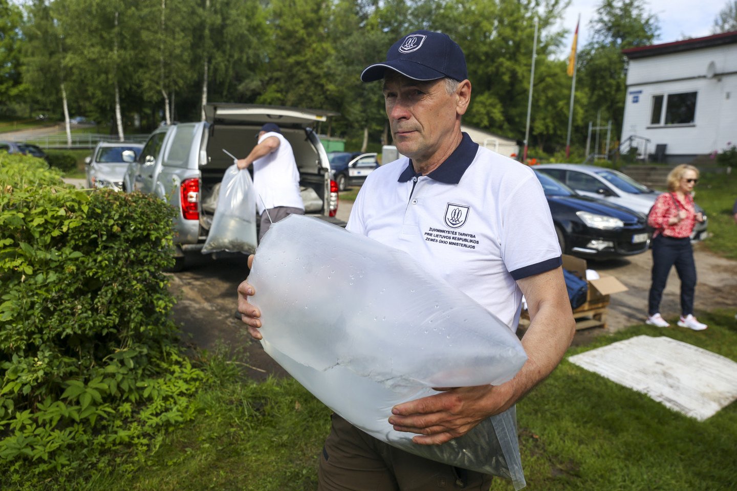 Vilniaus Žirmūnų paplūdimyje į Neries upę paleista 2 tūkstančiai ypač retų žuvų<br> Į Nerį paleista tūkstančiai retų žuvų - ūsorių