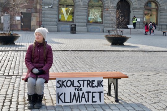 Po pertraukos G. Thunberg grįžo protestuoti prie Švedijos parlamento