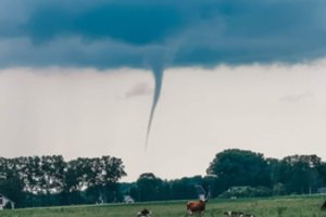 Žemaitijoje – įspūdingas reiškinys: žmonės užfiksavo viesulą