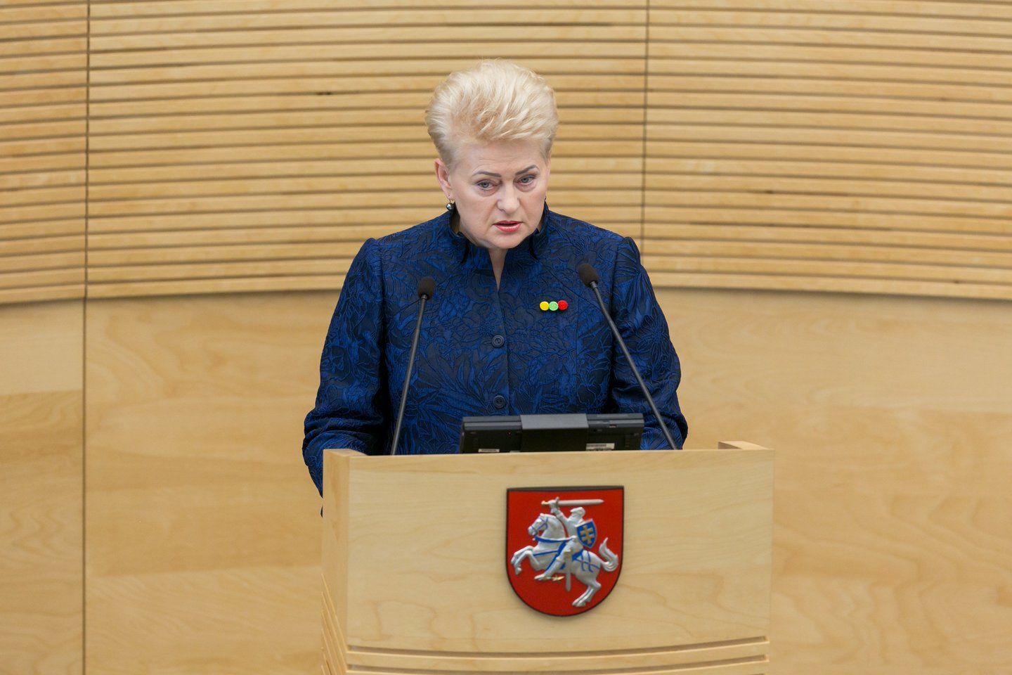 D.Grybauskaitės metinis pranešimas.<br>T.Bauro nuotr.