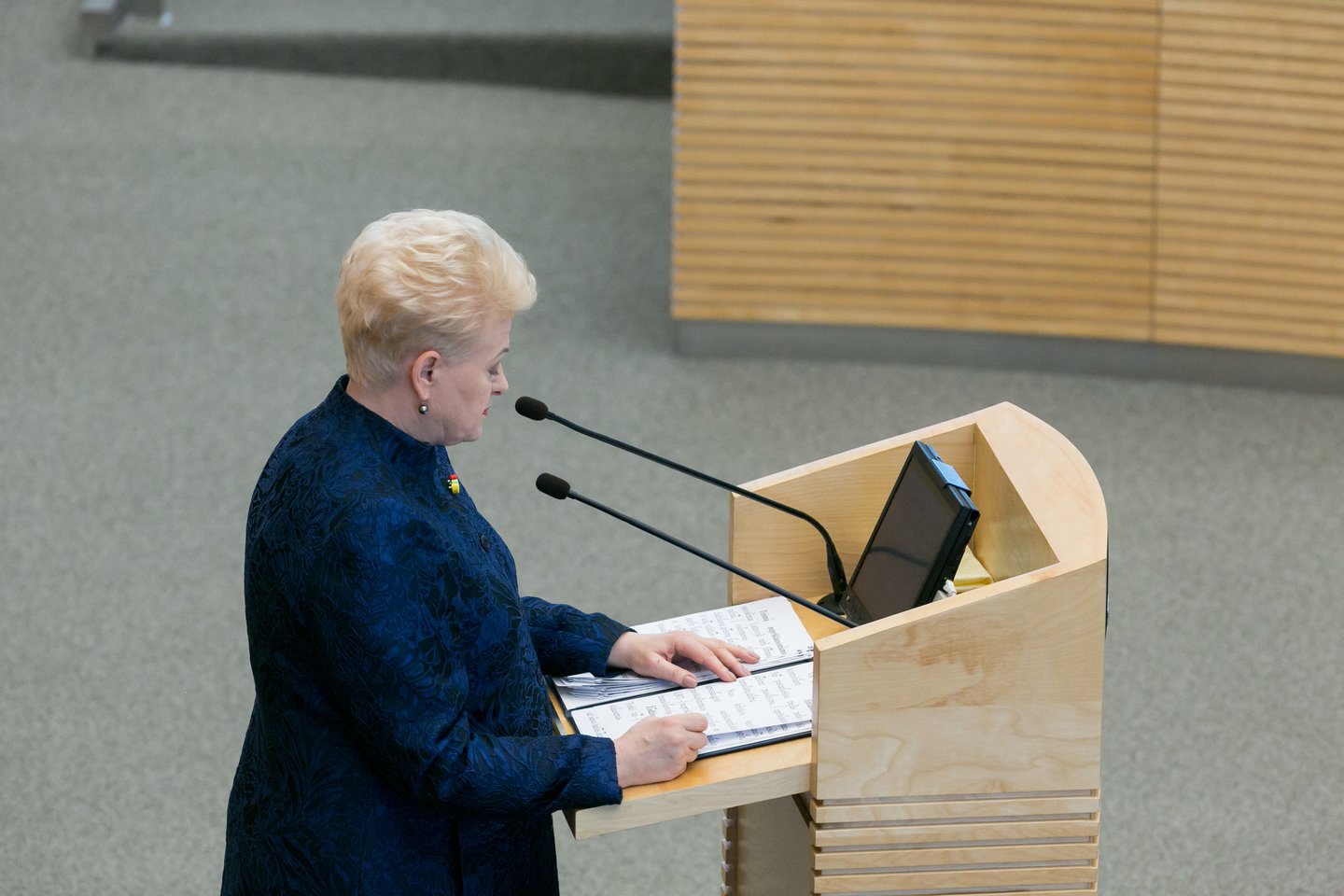 D.Grybauskaitės metinis pranešimas.<br>T.Bauro nuotr.