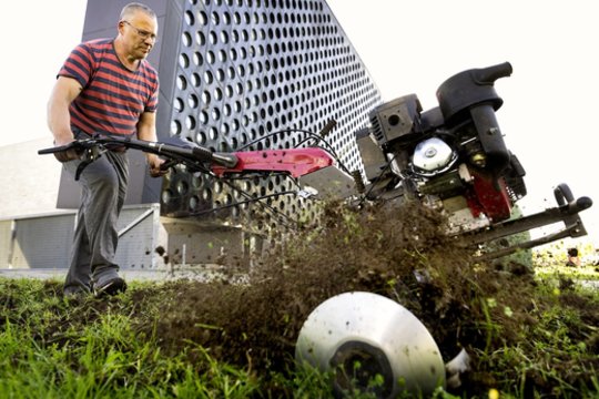 Prie Nacionalinės dailės galerijos dygsta nauja instaliacija – artėjančios vasaros parodos pranašas