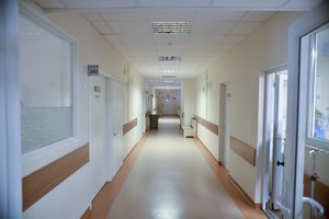 Ant Lietuvos munduro – kyšių dėmė: medikus papirkinėjo beveik penktadalis, skaičiai išsiskiria net ir ES