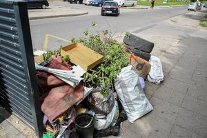 Šiukšlių krūvomis miesto centre pasibaisėjusi panevėžietė: „Mačiau net lakstančias žiurkes“