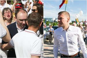 Su M. Puidoku mitinge prie Seimo susidūręs M. Maldeikis: jis bando nukreipti visuomenės dėmesį nuo korupcijos skandalo