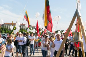 Tarsi stebėtų ne tą protestą: prie Seimo vykstančiame proteste policija įžvelgia atstumus ir pažeidimų nemato