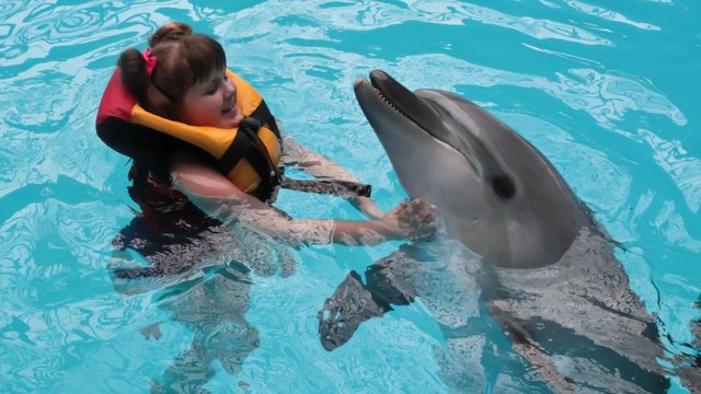 Vaiką su negalia auginanti mama: delfinų terapija sumažino net pykčio priepuolius