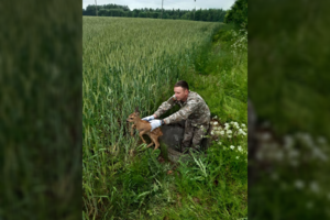 Klaipėdos rajone į bėdą pakliuvęs stirniukas sulaukė netikėtos pagalbos