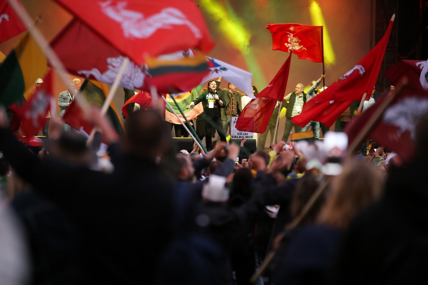 Lietuvos socialdemokratų partija (LSDP) Vilniaus ir Kauno savivaldybes ragina sudaryti visas sąlygas taikiems mitingams.<br>T.Bauro nuotr.