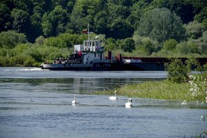 Aplinkosaugininkai prašo skelbti ekstremaliąją situaciją Nemuno atkarpoje 