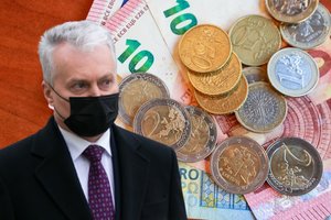 Vyriausybė nepalaikė prezidento siūlymo didinti NPD