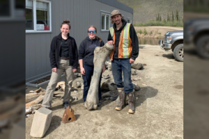 Ieškojo aukso – bet rado kai ką ne mažiau įspūdingo