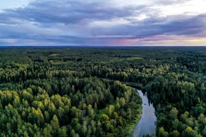 Keli šimtai tūkstančių lašišų ir šlakių papildė Lietuvos upes