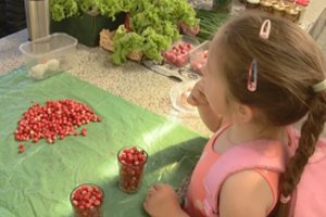 Pirmosios miško gėrybės traukia akį ir patuština piniginę – pirkėjai jas graibsto nesiderėdami