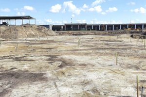 Perlaidoti per Antrąjį pasaulinį karą Šiauliuose nukankintų 728 karo belaisvių palaikai