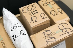 Finansų ministrė su Muitinės vadovais aptarė naująją siuntų deklaravimo sistemą